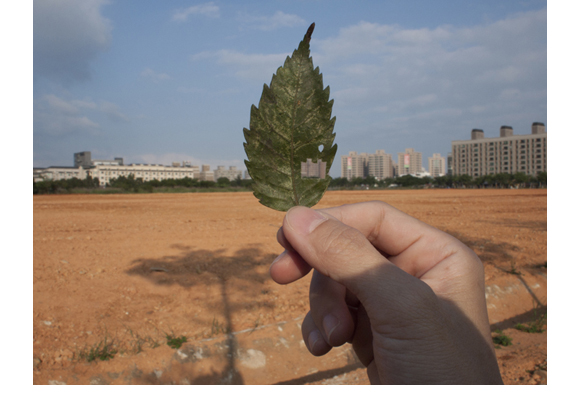 Wang Yahui “Pick up a leaf when it falls”