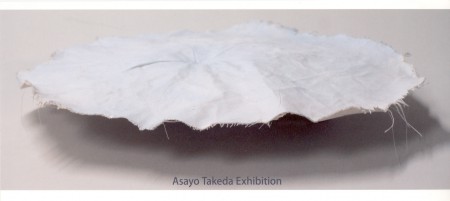 竹田安嵯代展