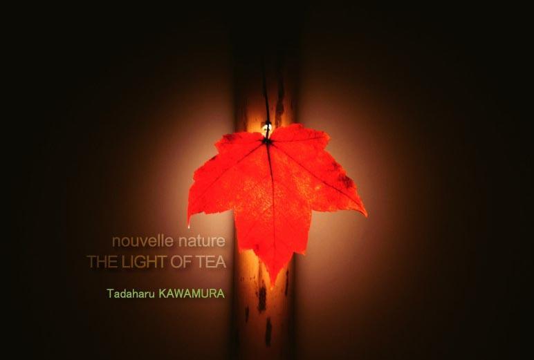 川村忠晴「nouvelle nature THE LIGHT OF TEA」