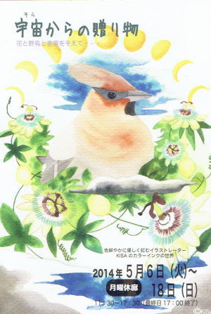 宇宙からの贈り物 花と野鳥と言葉を添えて・・・