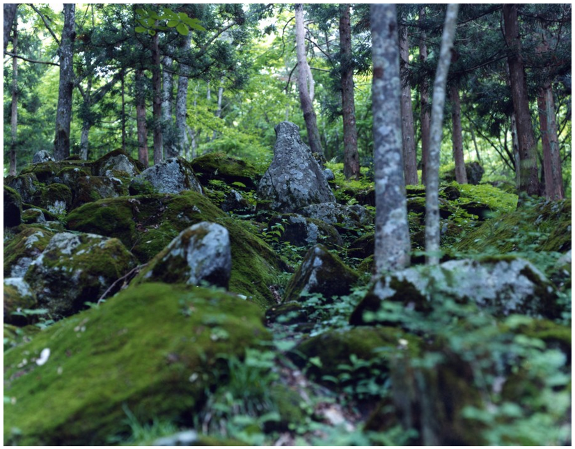 PHOTO Exhibition “Japan”