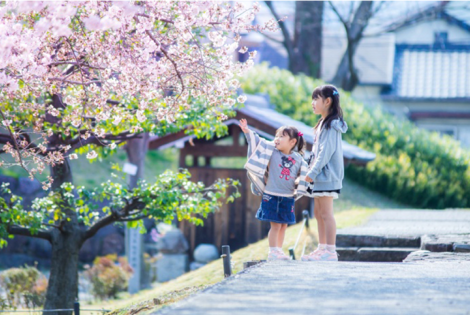 親ばか写真展　 　- message –