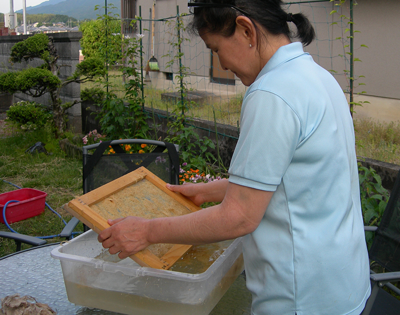 Paper Making Work Shop