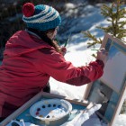 , Denali National Park AIR Program　レジデント募集（アラスカ/アメリカ）