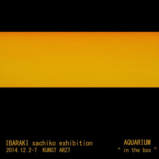 茨木佐知子 個展 「AQUARIUM –」