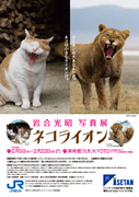 Mitsuaki Iwago photo exhibition Cat lion