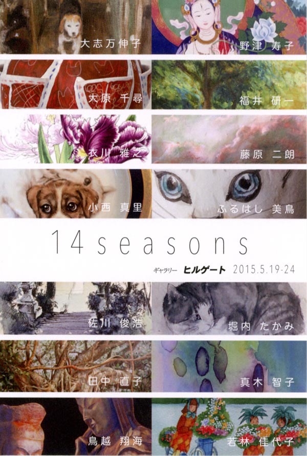 14 seasons 展