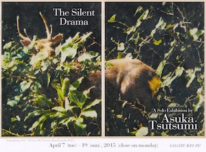 ツツミ　アスカ　個展“ The Silent Drama ”