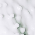 Photo01_banner