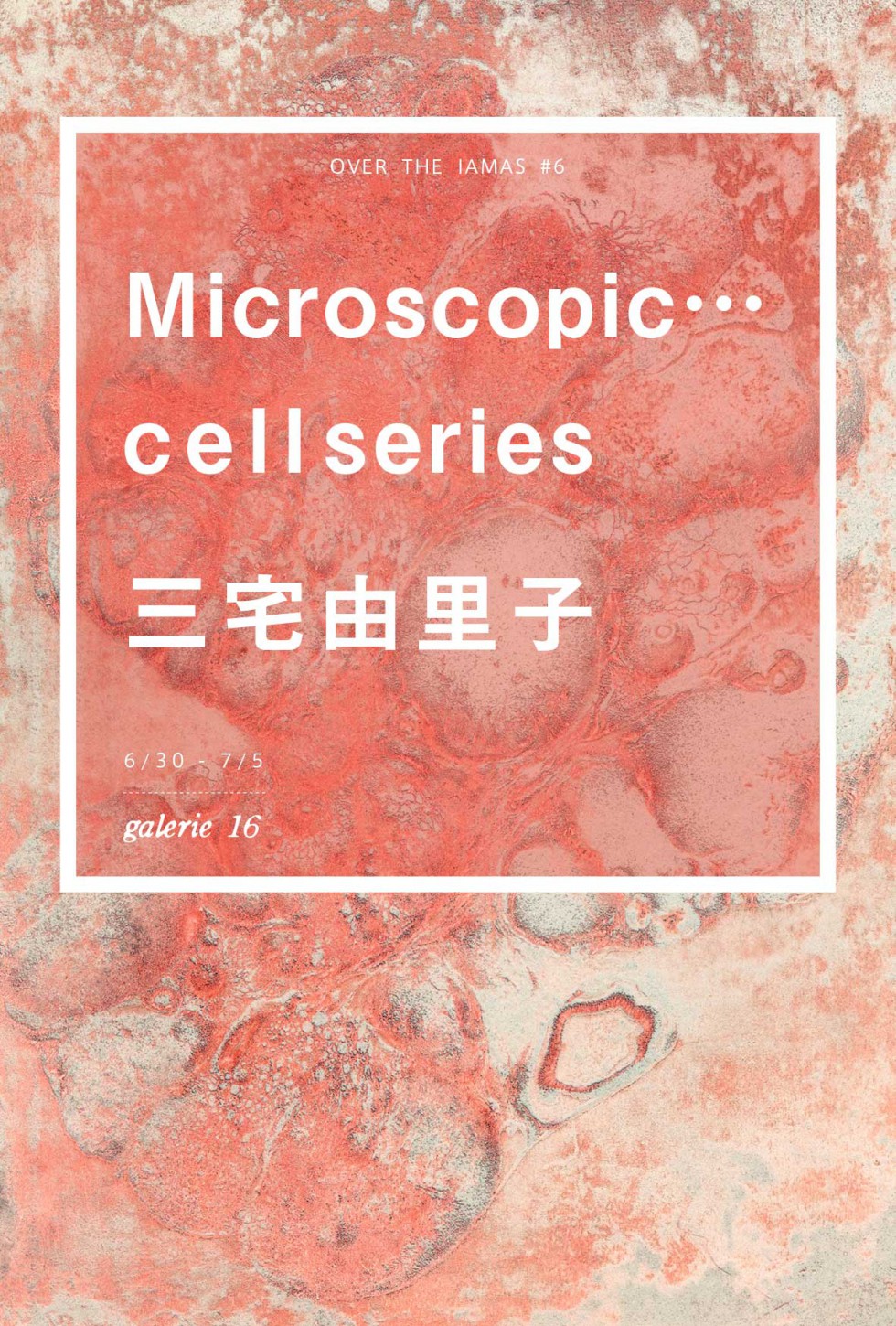 #06 三宅由里子展 ”Microscopic…cell series”