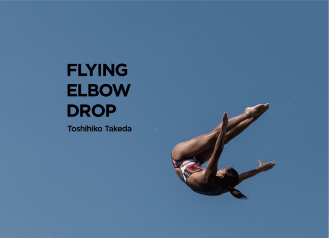 武田俊彦 個展 「Flying Elbow Drop」