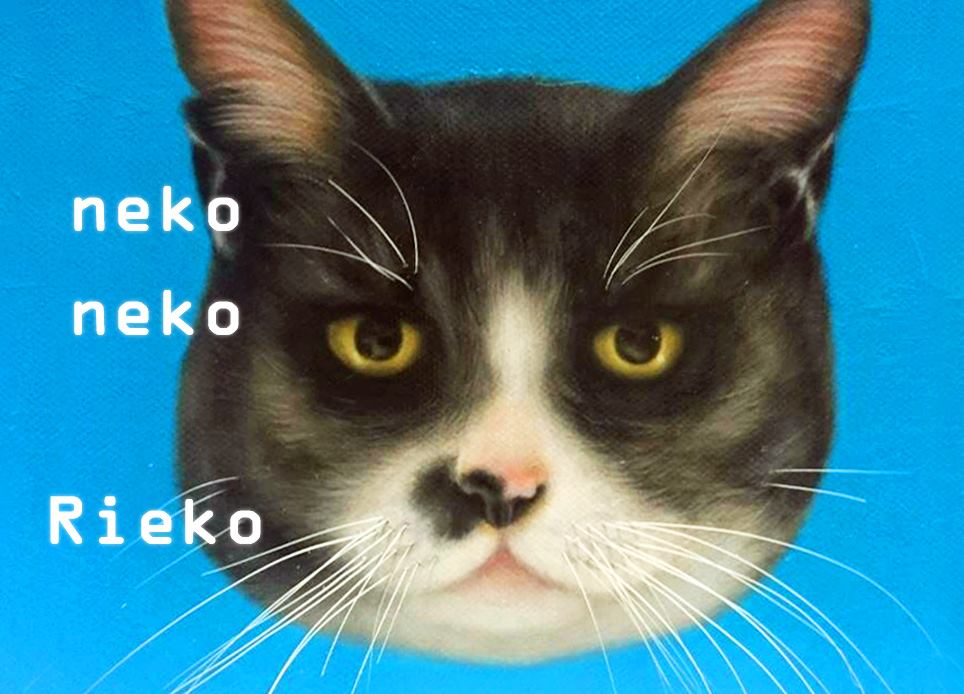 TAKAGI Tomohiro & KIMURA Ryoko curation 髙木智広 & 木村了子 キュレーション neko neko Rieko 京都展