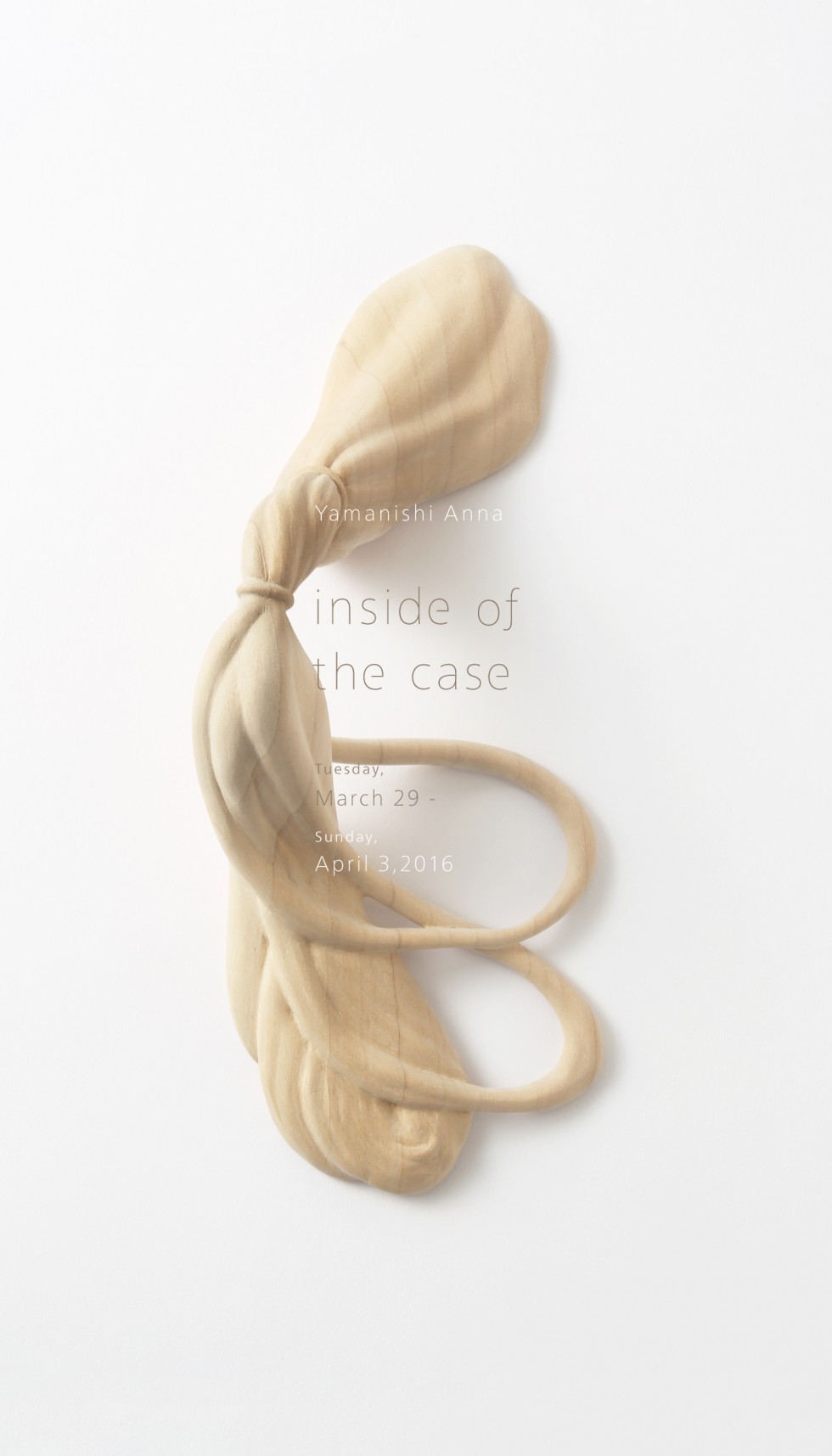 山西杏奈 個展 inside of the case