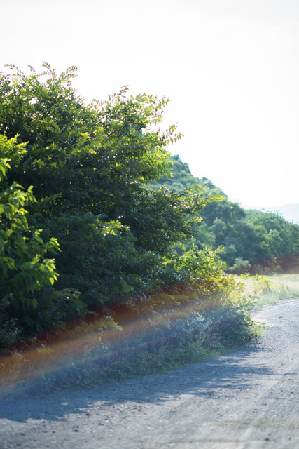 山本嵩 写真展 「Childhood landscape」