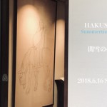 夏展示2018gS