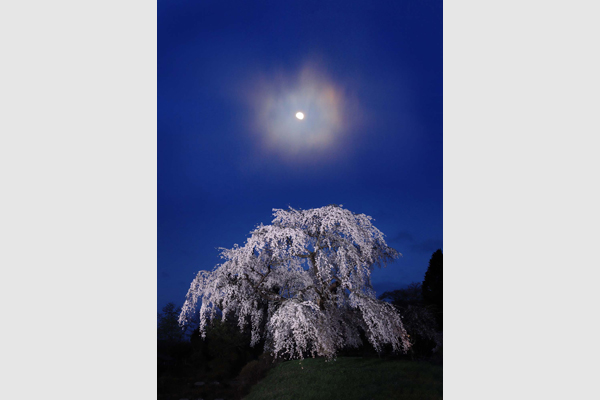 きつのえいじ 写真展「雪月花 和の心」