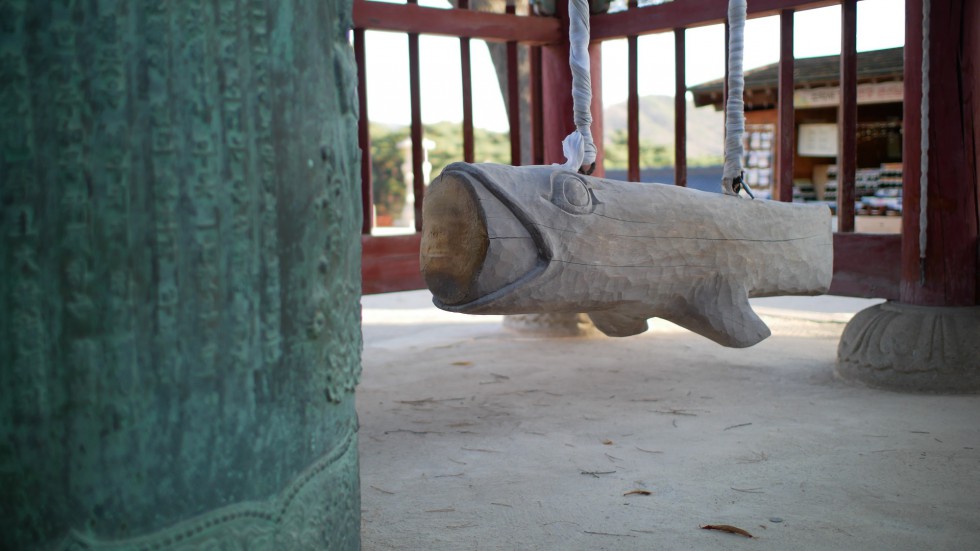 Performance by Yuske Taninaka ~)Dis)Oriental Whaling~: from a project “Geo-Body of Whales”