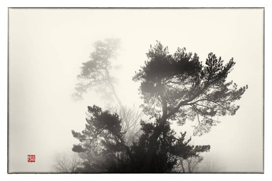 きつの えいじ 写真展「山水霧幻」