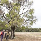 , The Farm Margaret River The residency at a glance