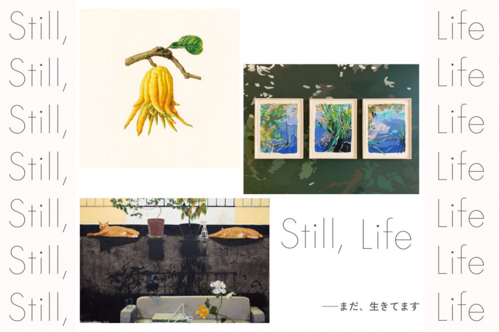 Still, life — まだ、生きてます