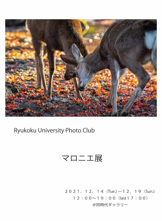 龍谷大学写真部　マロニエ展