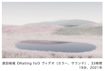 Yuki Harada”Unreal Ecology”