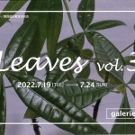 leaves