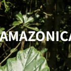 , Correlación Contemporáneaレジデンスプログラム Amazonica（ペルー）