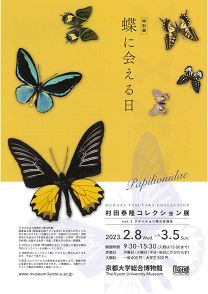 MURATA YASUTAKA COLLECTION “Papilionidae”<!—:—>